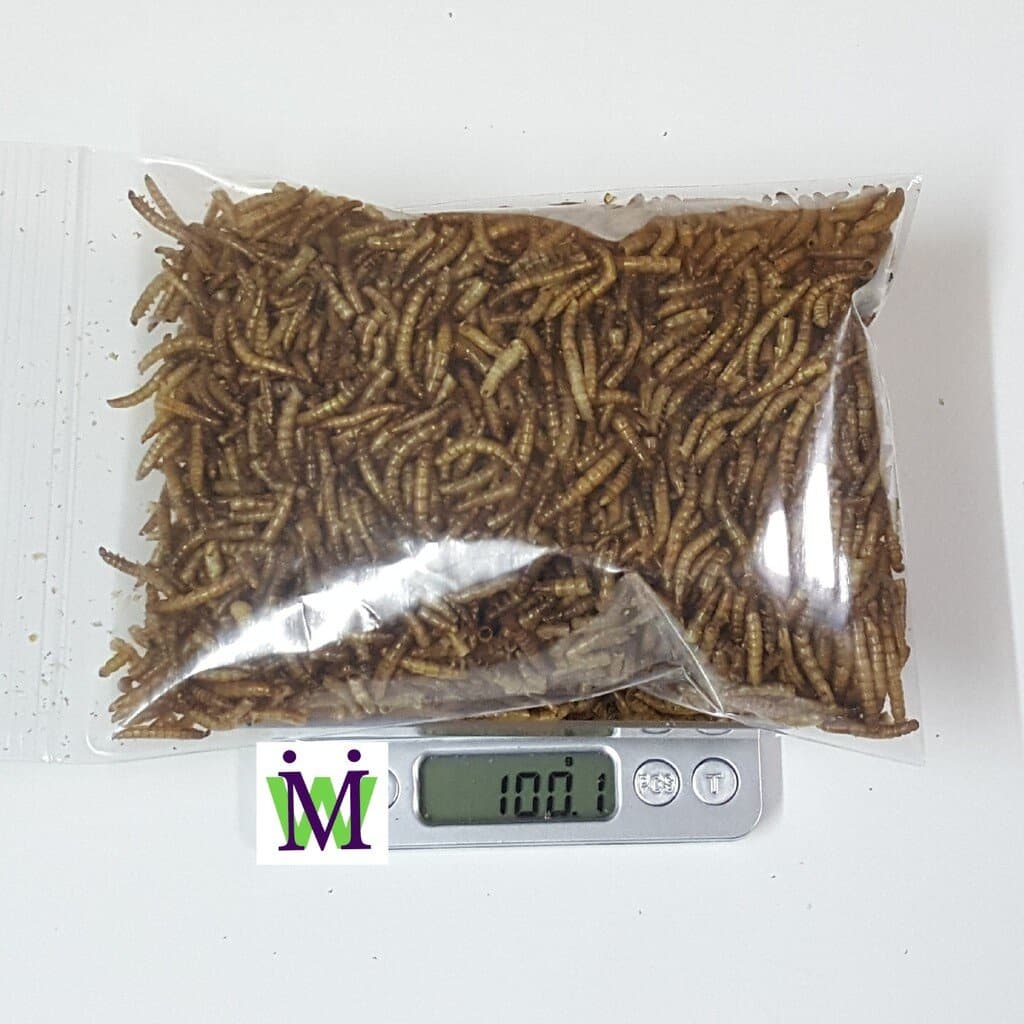 หนอนนก หนอนนกอบแห้ง 100&50g. หนอนอบแห้ง mushi อาหารหนูแฮมสเตอร์ อาหารนก อาหารเม่น อาหารชูการ์ อาหารแพรี่ด็อก…