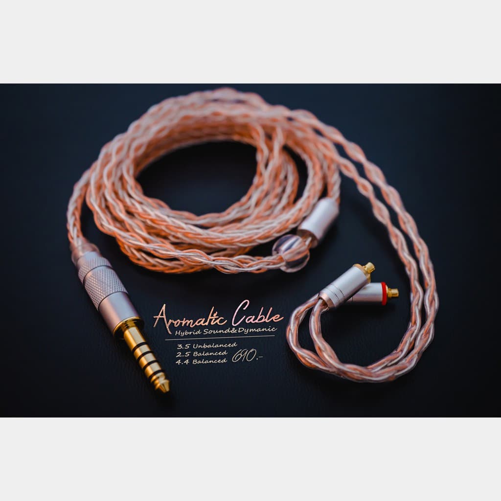 Aromatic Hybrid Cable MMCX&2Pin สายคําหวาน อัพเกรดหูฟัง เสียงอิ่มหวาน รายละเอียด