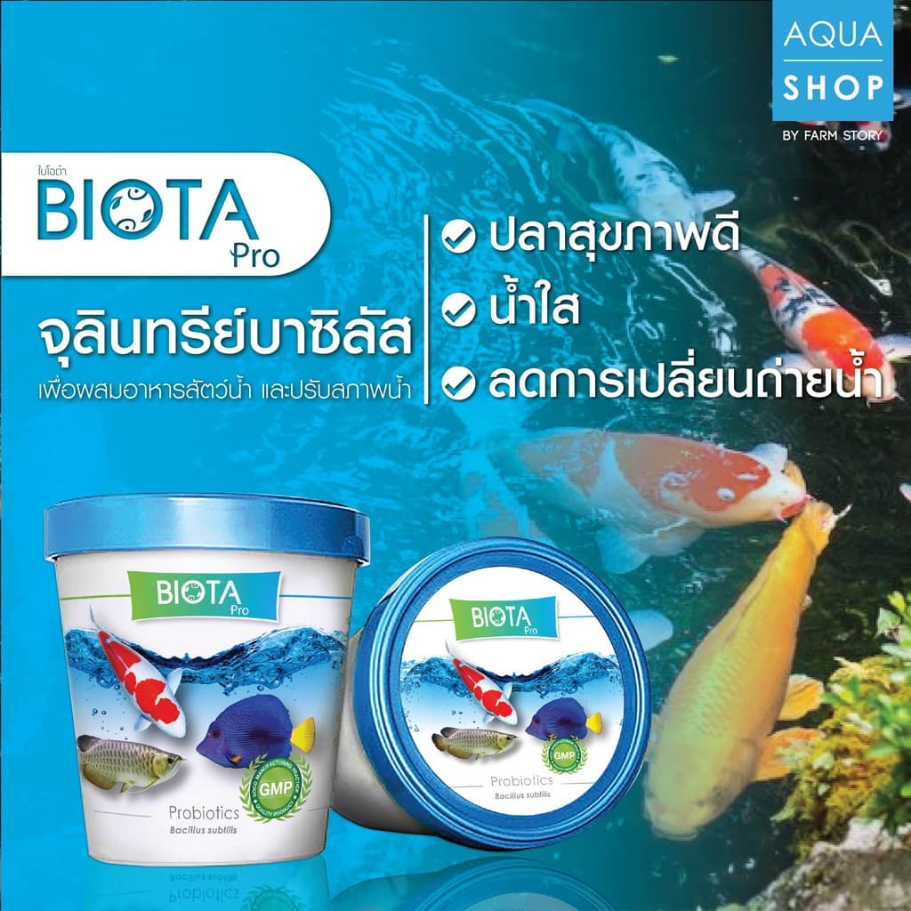 จุลินทรีย์ BIOTA ProS น้ําใส สีสวย ปลาแข็งแรง (ปลาสวยงาม)