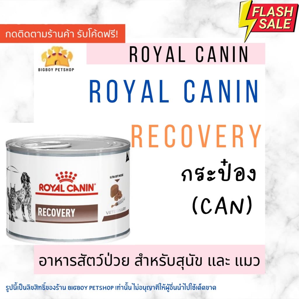 ดอ่านก่อนสั่ง Sale Recovery Royal canin อาหารสัตว์ป่วย สําหรับหมาและแมว