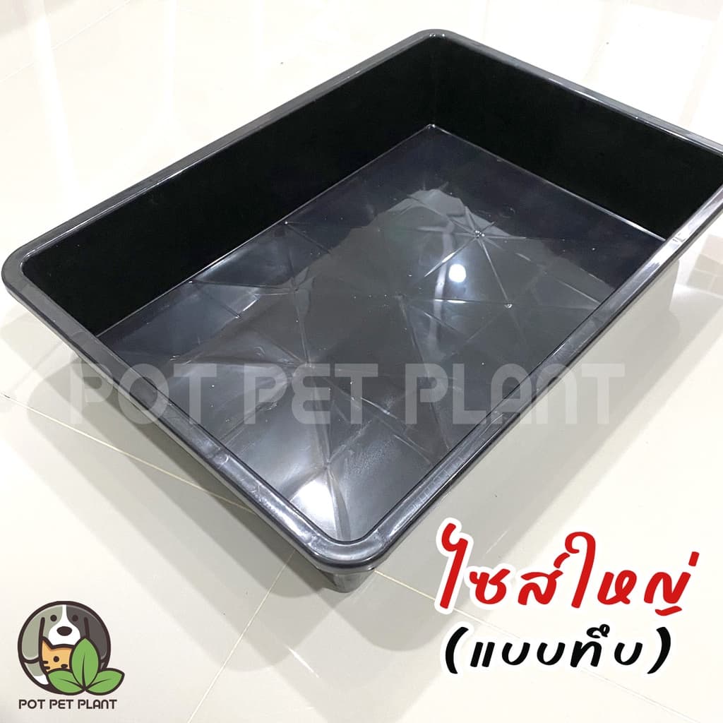 ถาดเพาะต้นอ่อน ถาดไดโซะ ปลูกแคคตัส (แบบทึบ) - 0257