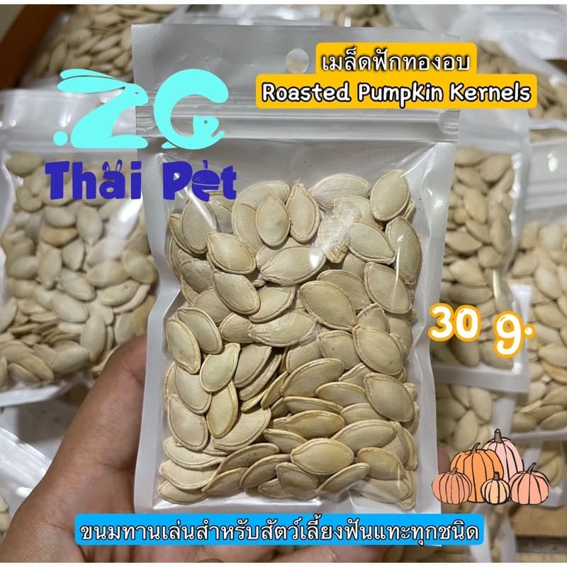 เมล็ดฟักทองอบ Roasted Pumpkin Kernels 🎃 ขนมทานเล่นสําหรับสัตว์เลี้ยงฟันแทะทุกชนิด ขนาด 30 g.