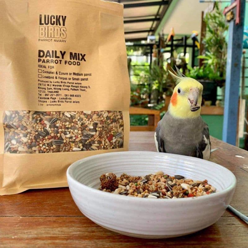 อาหารนกแก้ว Luckybirds Daily mix สูตร Original