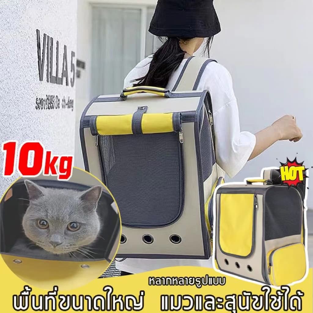 Pet Bag🐱กระเป๋าแมว เป้สัตว์เลี้ยง 10KG ใบใหญ่มาก พับเก็บได้ ระบายอากาศได้ หน้าต่างกันสาด…