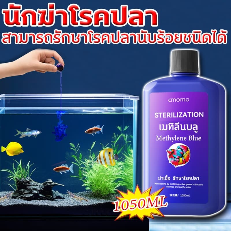 Methylene Blue สามารถรักษาโรคปลานับร้อยชนิดได้ เมทาลีนบลู อ่อนโยนไม่ระคายเคือง ฆ่าเชื้อ เมทิลีนบลู methylene… รูปที่ 1