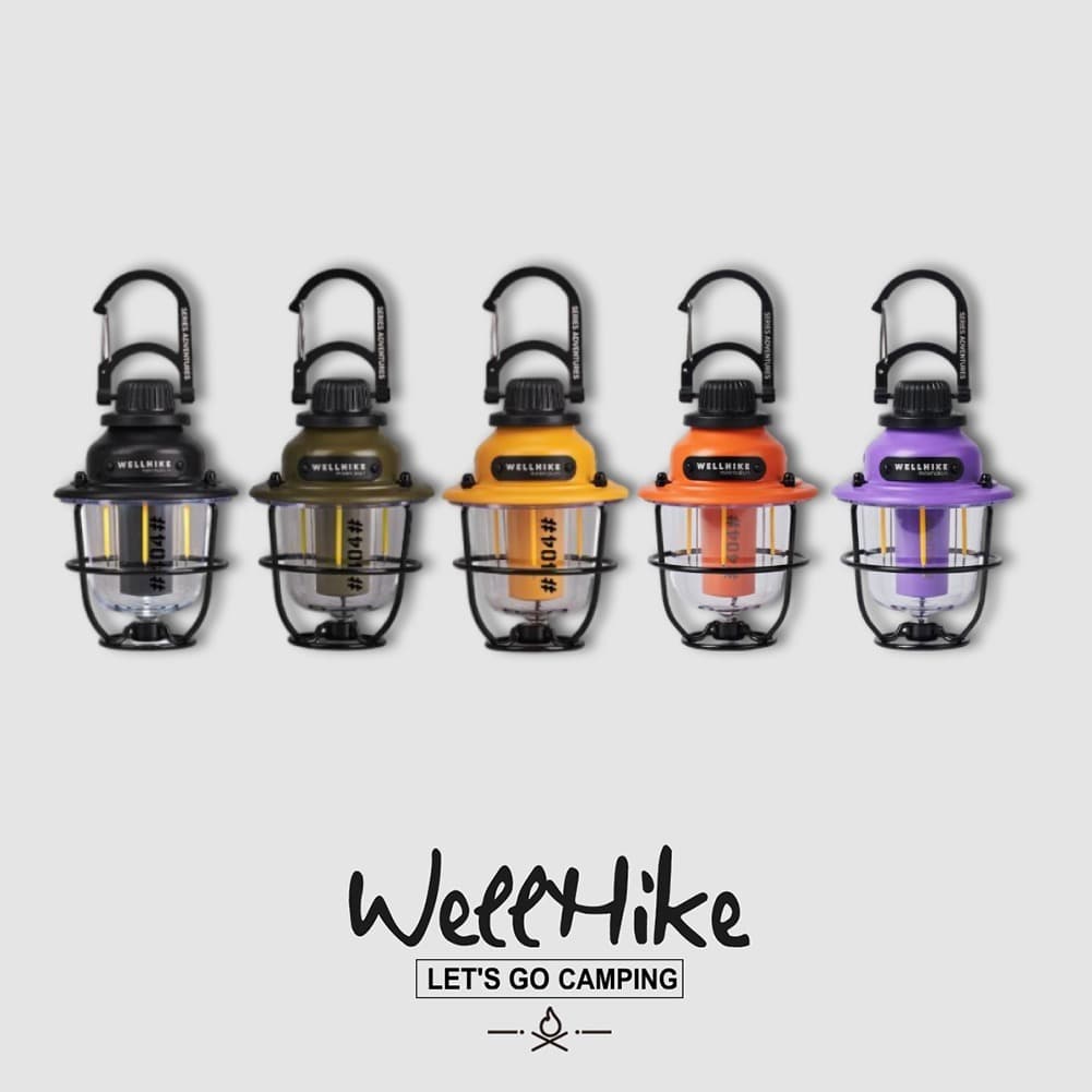 🚚สต็อกพร้อมในกรุงเทพ🚚 Wellhike ไฟแค้มป์ปิ้งวินเทจ ไฟ LED แบบชาร์จไฟได้ USB 4 โหมดแสง 360°…