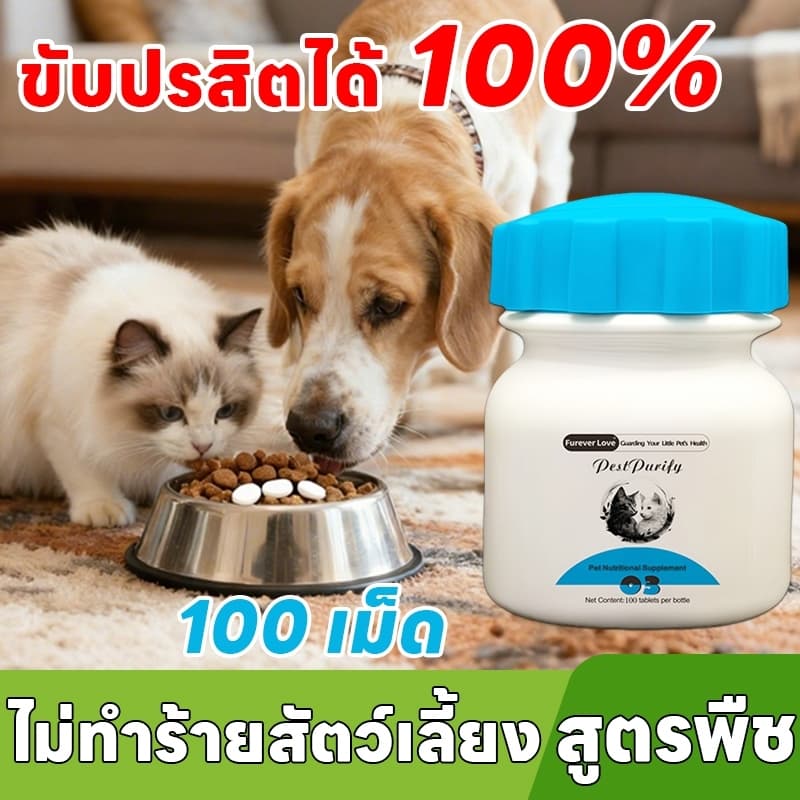 ขับพยาธิได้รวดเร็ว SA PetCare กําจัดพยาธิ ถ่ายพยาธิ ตัวกลม ตัวตืด แส้ม้า ปากขอ ขวดหนึ่งมี 100 เม็ด… รูปที่ 1