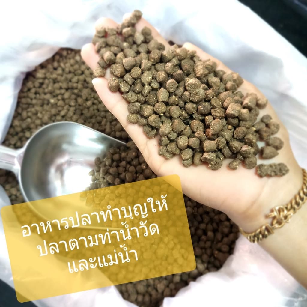 อาหารปลากินพืช ใหม่ๆ[ถุง 1 กก.]ทําบุญให้ปลาที่วัด ท่าน้ําวัด ปลาแม่น้ําทั่วไป รูปที่ 1