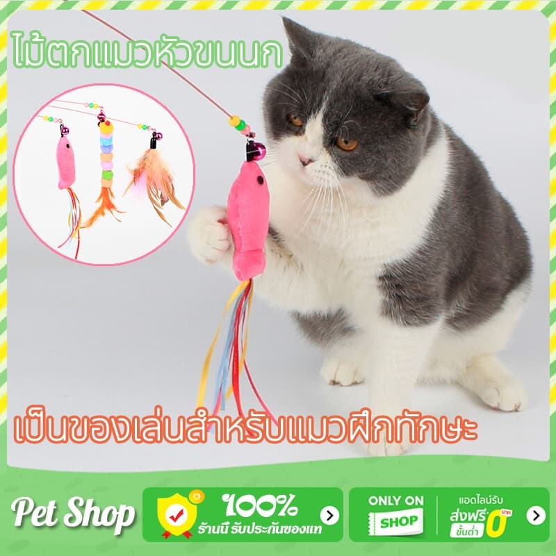 ไม้ตกแมวขนนกแท้สุดหรู ของเล่นแมว มีให้เลือก เบ็ดตกแมว ไม้ตกแมว ไม้ล่อแมว ของเล่นแมว ไม้ตกแมวแบบสปริง…