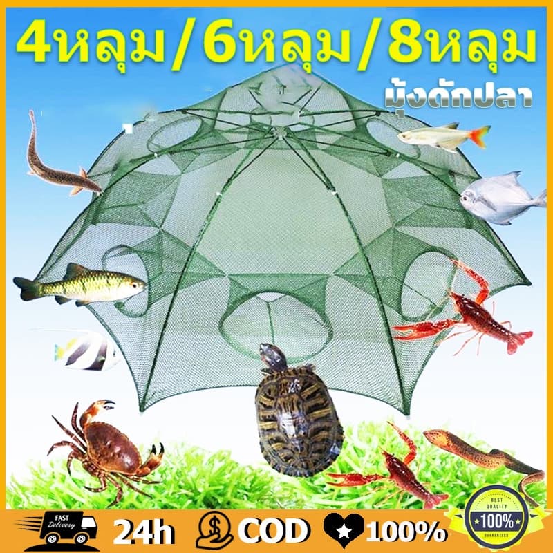 8ช่อง 10ชิ้น ที่ดักปลา ดักกุ้ง ที่ดักกุ้ง ช่อง มุ้งดักปลา มุ้งดักกุ้ง ที่ดักกุ้งฝอย ตาข่ายดักปลา กระชังปลา…