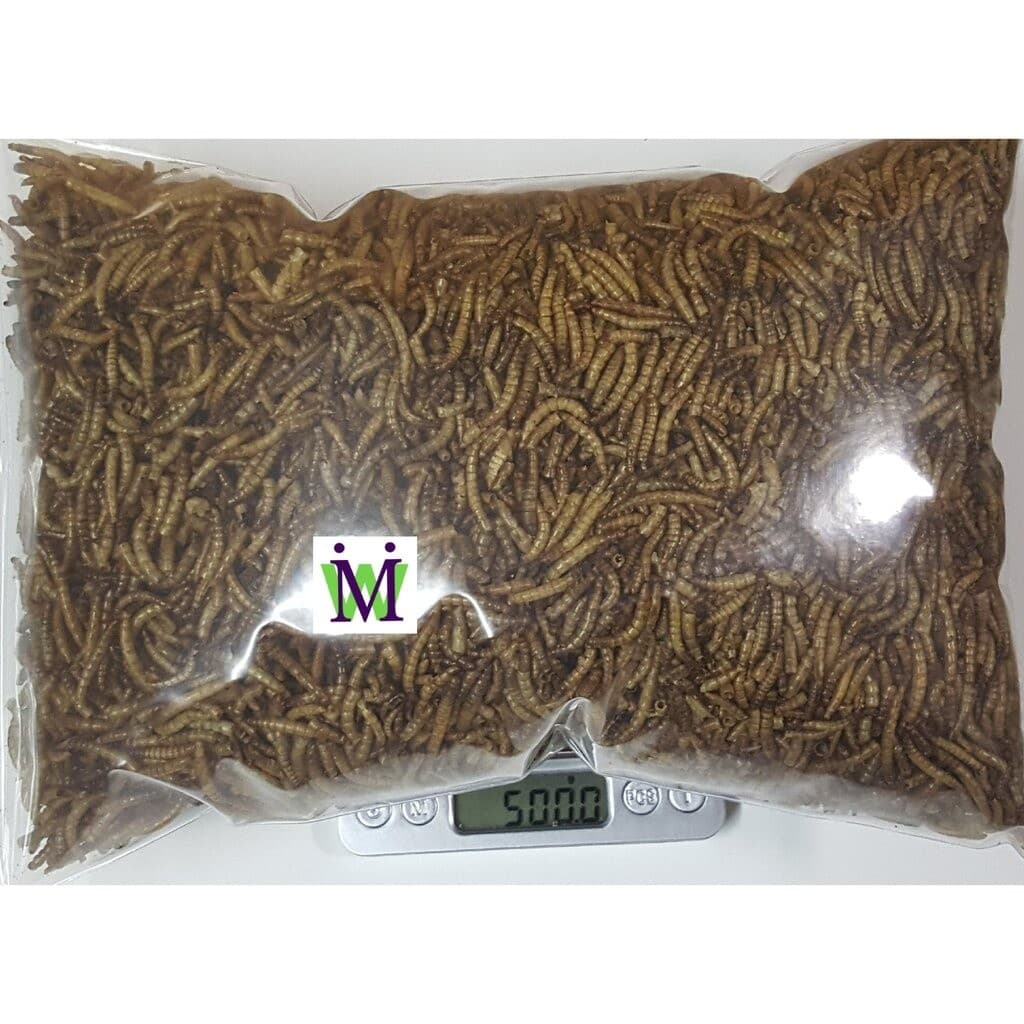 หนอนนก หนอนนกอบแห้ง 500g. หนอนอบแห้ง อาหารหนูแฮมสเตอร์ อาหารนก อาหารแพรี่ด็อก อาหารไก่ อาหารปลา อาหารกระรอก…