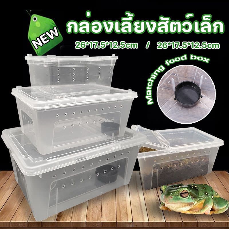 กล่องเลี้ยงสัตว์เล็ก สัตว์เลื้อยคลาน M/L สัตว์เล็ก กล่องเลี้ยงสัตว์ งู กบ แมลง ปลา สัตว์เลื้อยคลาน Reptile Box