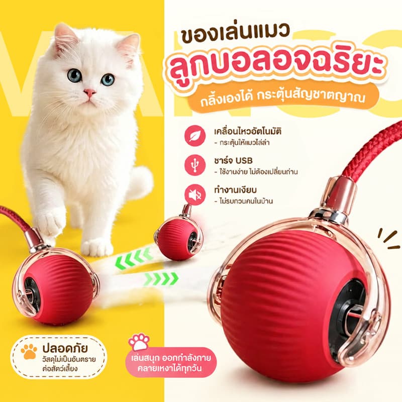 Mango ลูกบอลแมว ลูกบอลแมวอัตโนมัติ แบบชาร์จไฟได้ ของเล่นแมว สมาร์ทไฟฟ้า หมุน ของเล่นแมวแบบโต้ตอบ…