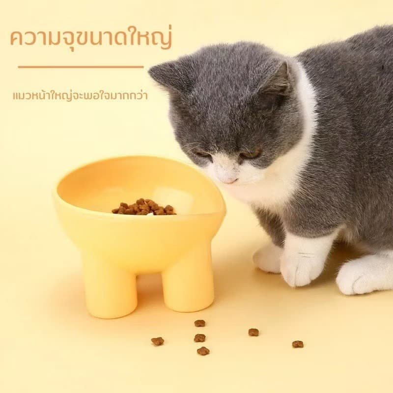 shopping ชามกันมด แมว ชามอาหารแมว ชามอาหารสัตว์เลี้ยง ทรงเฉียง ชามอาหารสุนัข ที่วางอาหารสัตว์เลี้ยง…