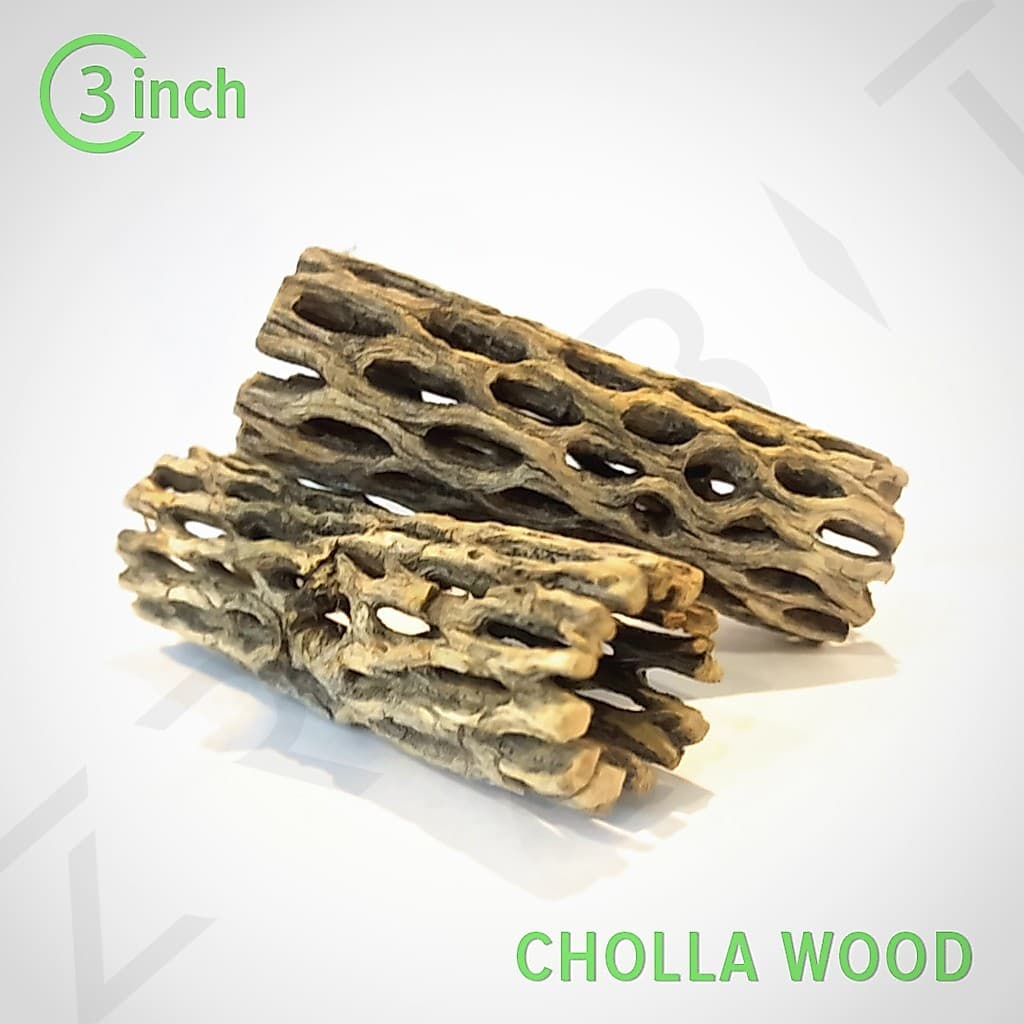 Cholla Wood 3inch ซื้อ 3 ชิ้น แถม 1 ชิ้น ขอนไม้บ้านกุ้ง กุ้งแคระ กุ้งเรดบี กุ้งสุราเวสี รูปที่ 1