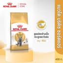 Royal Canin British Shorthair Adult400g อาหารเม็ดแมวโตพันธุ์บริติช ชอร์ทแฮร์อายุ12เดือนขึ้นไป(Dry Cat Food,…