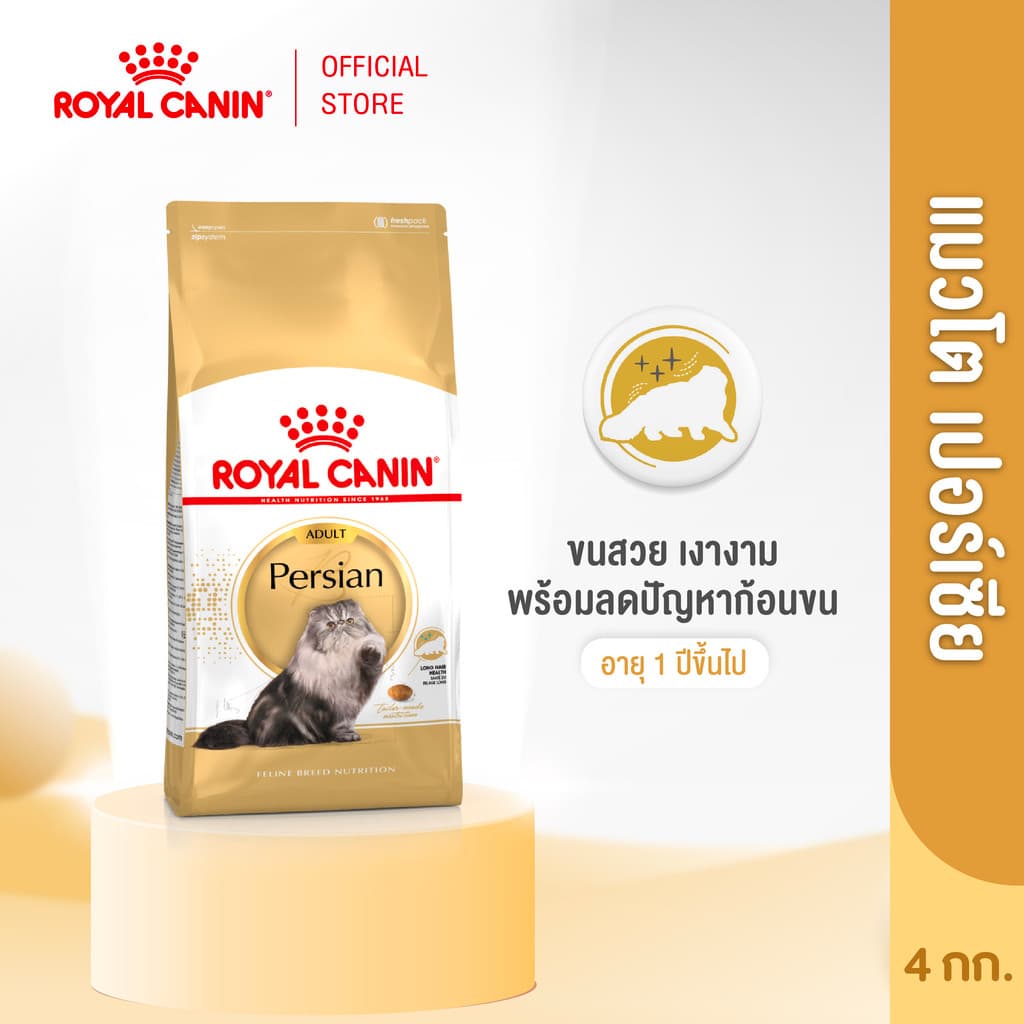 Royal Canin Persian Adult 4kg อาหารเม็ดแมวโต พันธุ์เปอร์เซียน อายุ 12 เดือนขึ้นไป (Dry Cat Food, โรยัล คานิน)