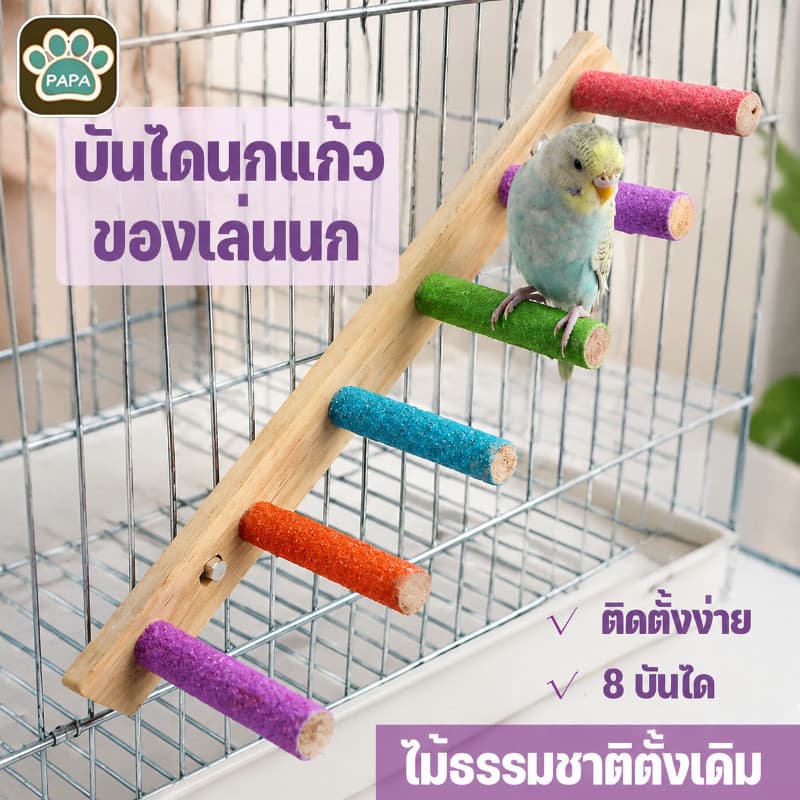 บันไดนกแก้ว ของเล่นนก คอนลับเล็บ 8 บันได ของเล่นบันไดกรงนก ติดตั้งง่าย ไม้ธรรมชาติดั้งเดิม