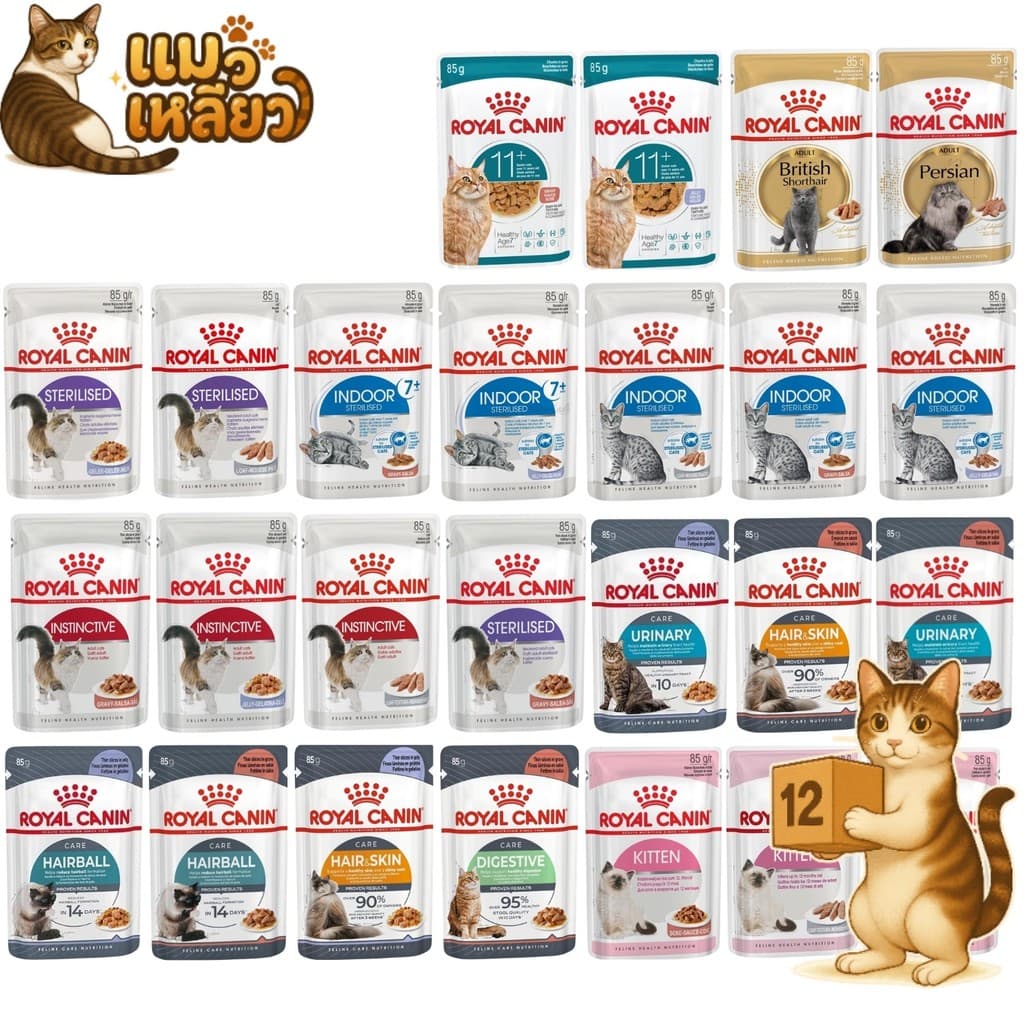 (ยกโหล 12 ซอง) Royal Canin โรยัล คานิน อาหารเปียกแมว ทุกช่วงวัย ทุกสายพันธุ์ เปียกแมว ขนาด 85 กรัม