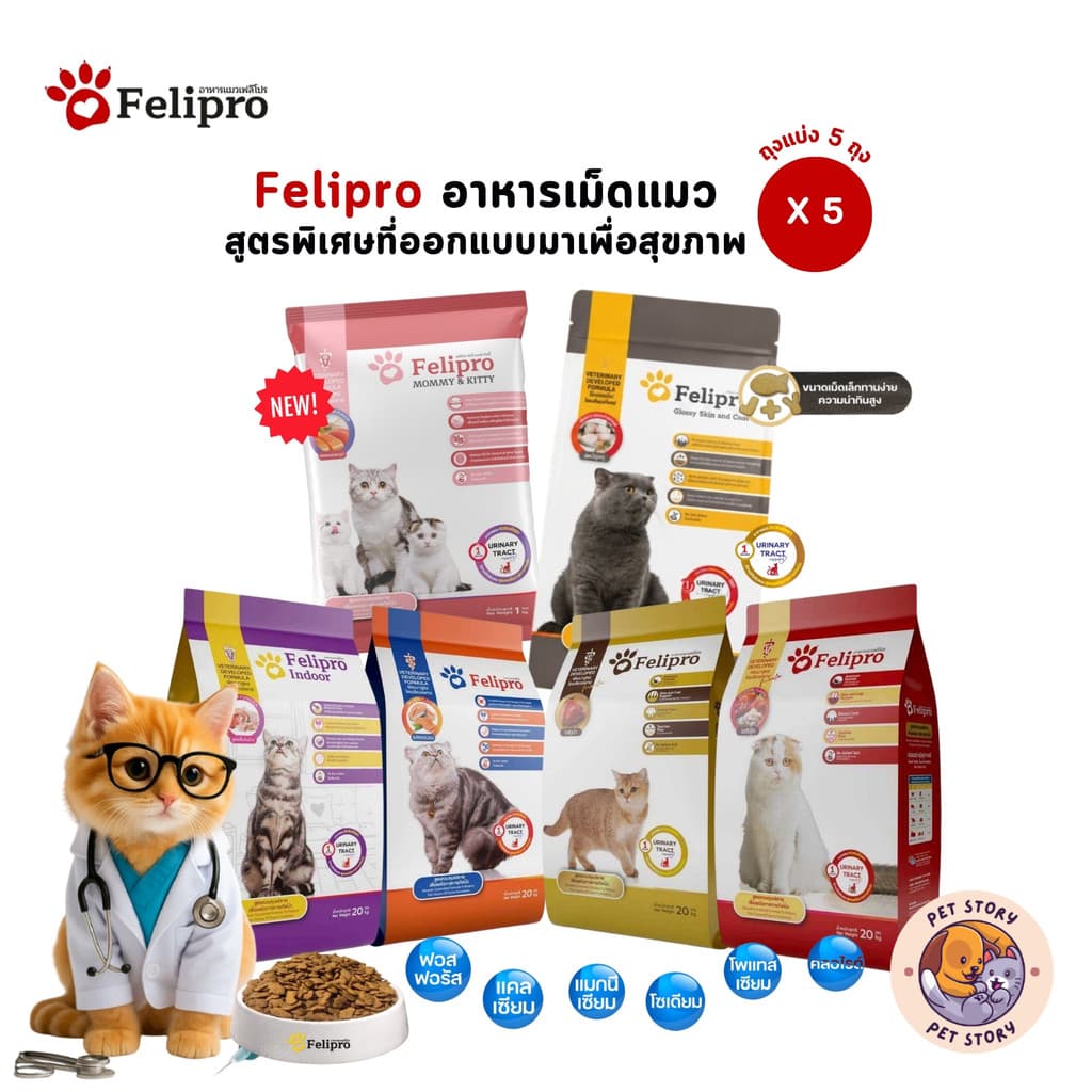 Felipro เฟลิโปร อาหารเม็ดแมว [5 ถุง] สูตรพิเศษที่ออกแบบมาเพื่อสุขภาพที่ดีของแมวทุกสายพันธุ์ ขนาด 1 กิโลกรัม…