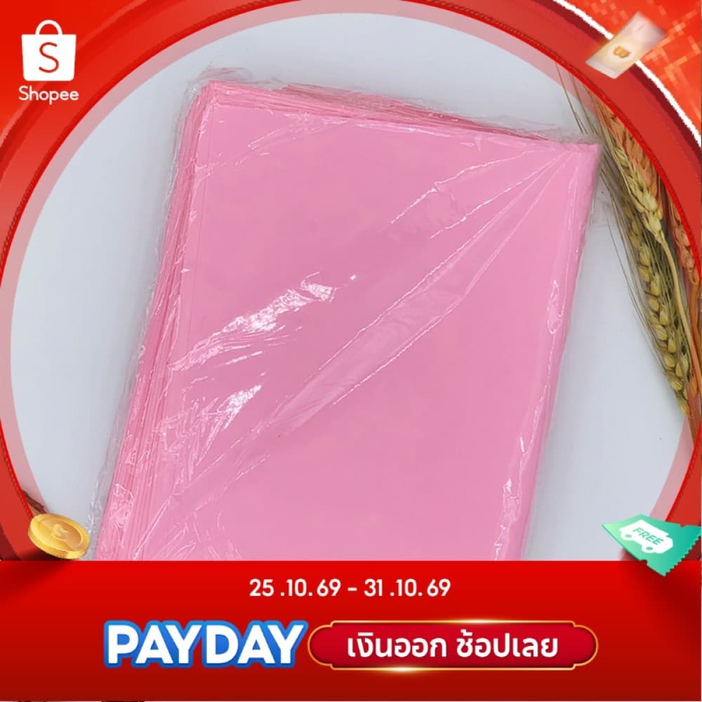 ซองพาสเทล ไม่พิมพ์ หนา 2 ชั้น 100 ใบ ซองไปรษณีย์พลาสติก อย่างหนา หนาพิเศษ ถุงไปรษณีย์ ซองพาสเทล…