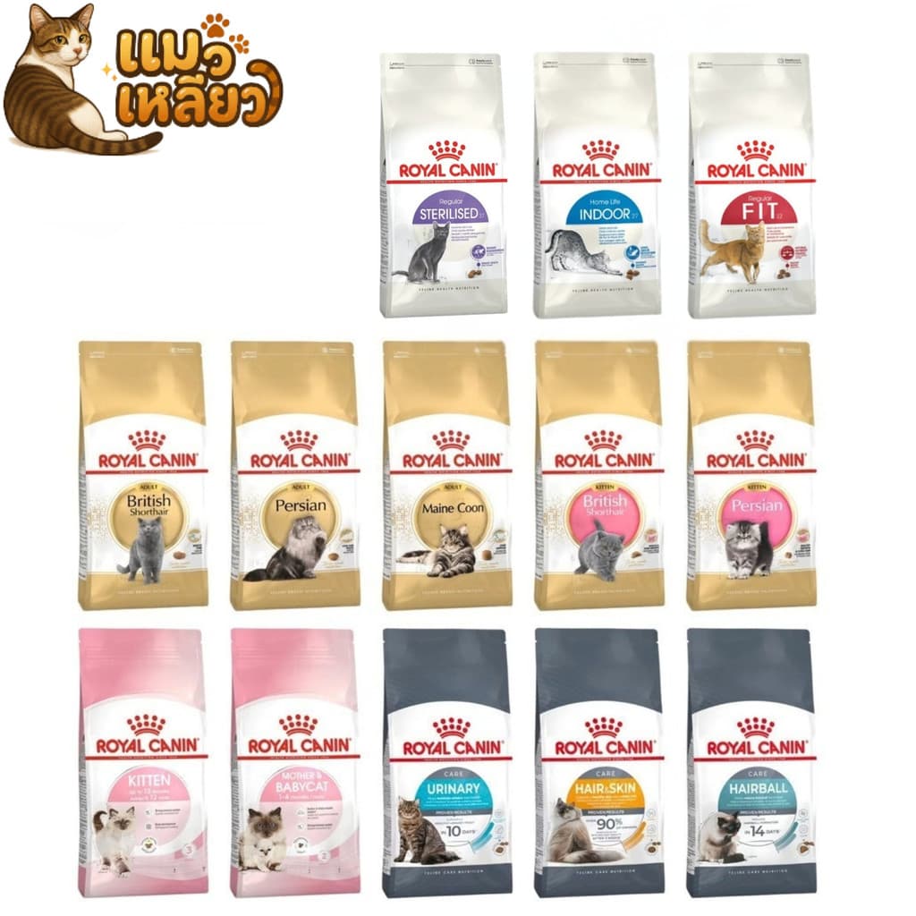 Royal Canin โรยัล คานิน อาหารเม็ดแมว ลูกแมว แมวโต รวมสูตร เม็ดแมว ขนาด ยกกระสอบ 10 kg