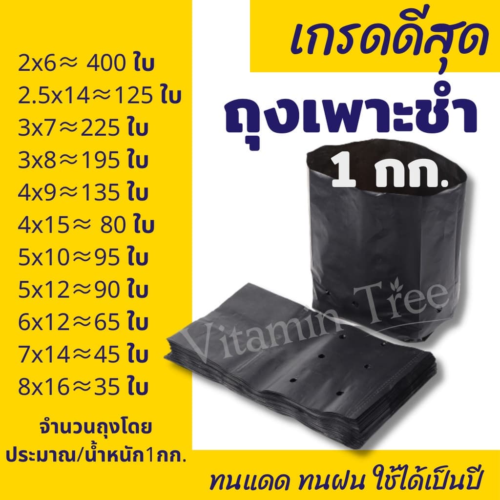 ถุงเพาะชํา 1 กก. ถูกที่สุด ส่งไว เนื้อมัน เหนียว หนา มีทุกขนาด คุณภาพดี