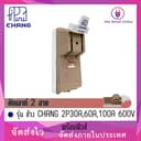 คัทเอาท์ ช้าง,อเมซิ่ง CHANG,AMAZING 2P 30A,60A 600V