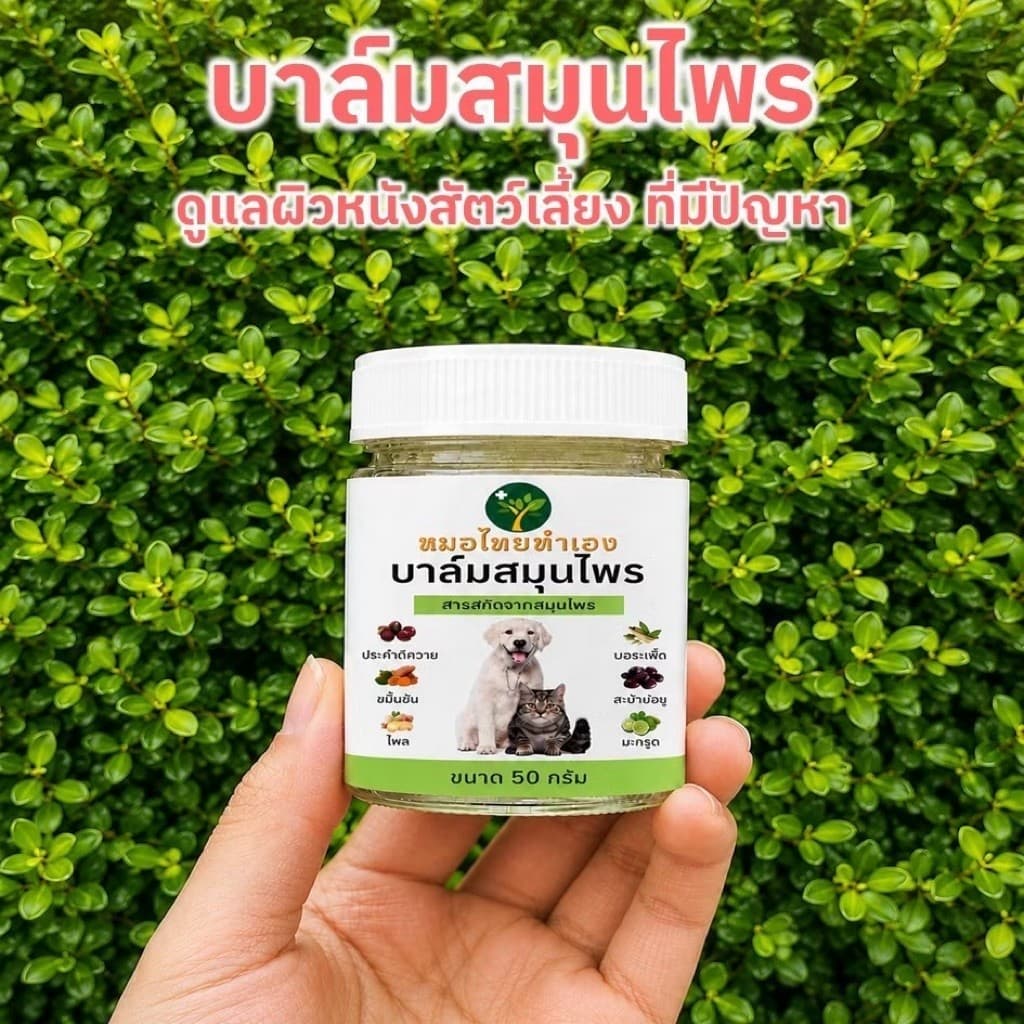 ครีมบาล์มสมุนไพรสุนัขและแมว ดูแลผิวสัตว์เลี้ยง 20/50 กรัม หมอไทยทําเอง