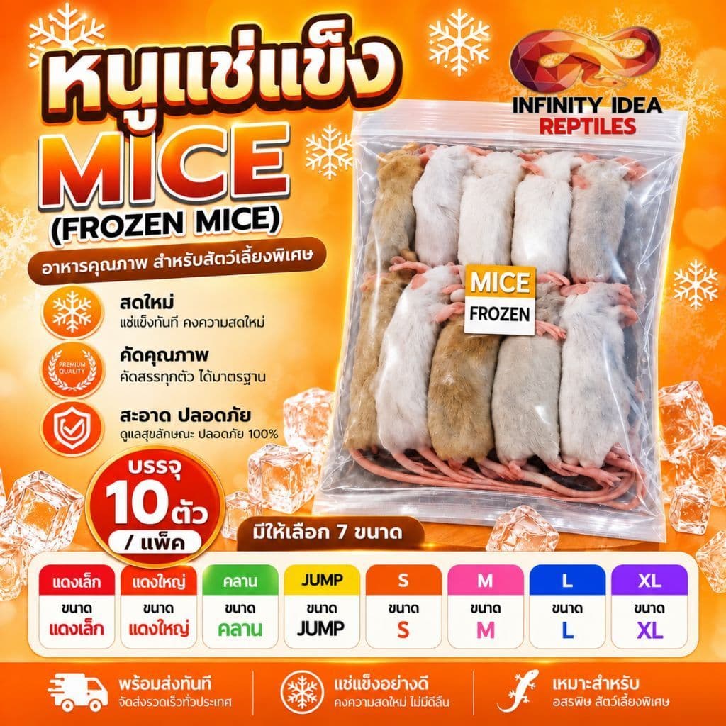 หนูแช่แข็ง อาหารสัตว์เลื้อยคลาน 1แพคมี 10 ตัว จัดส่งด่วนภายในวัน