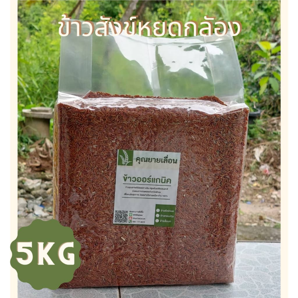 🌾ข้าวสังข์หยด กล้อง-ขัดลาย (ขนาด 5 กิโล) ข้าวใหม่ สีข้าวทุกวันตามคําสั่งซื้อ ปลอดสาร จากเกษตรกรบ้านนาหน้าวัง…
