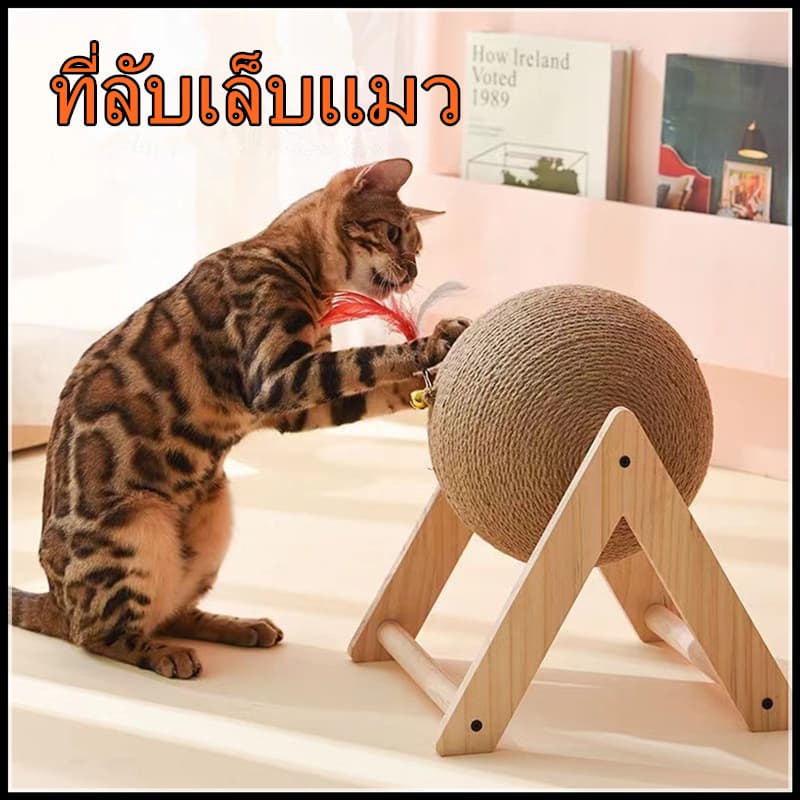 ที่ลับเล็บแมว ของเล่นแมว ฝนเล็บแมว ที่ฝนเล็บแมวลูกบอล ที่ฝนเล็บแมวใหญ่ ที่ฝนเล็บแมวขนาดใหญ่ บ้านแมว…