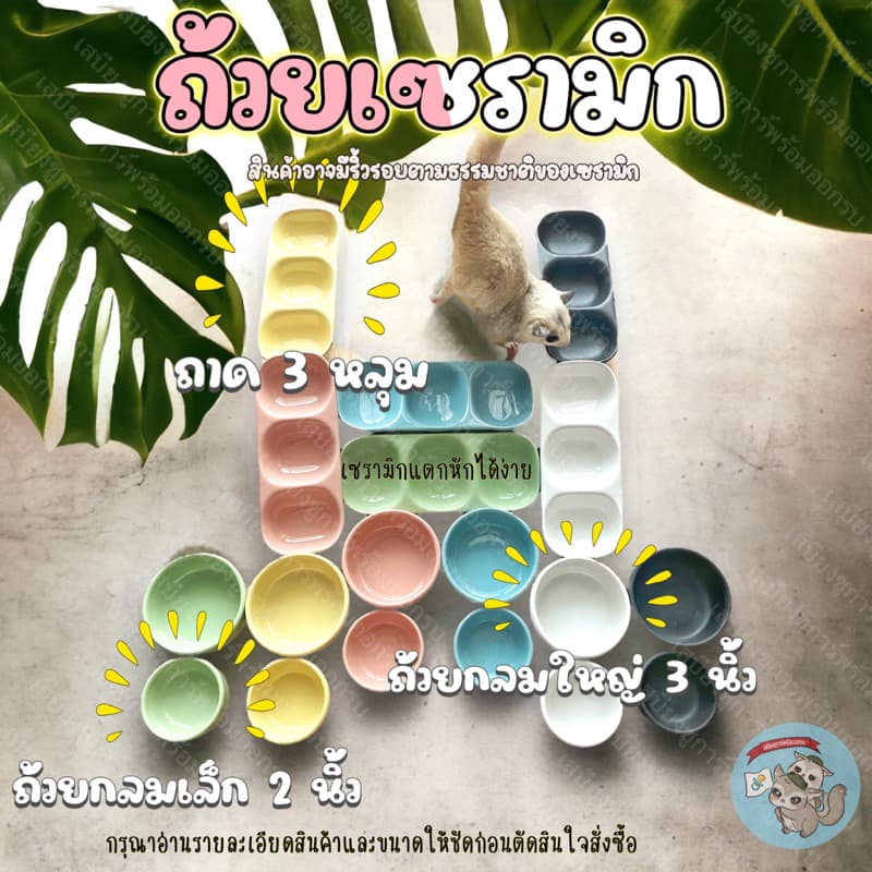 V ( ถ้วยเซรามิก ) ถ้วยเซรามิค ถ้วยนม ถ้วยน้ํา ถ้วยอาหาร ชูการ์ ชูก้า สัตว์เล็ก สัตวเลี้ยง แฮมสเตอร์ นก กระรอก…