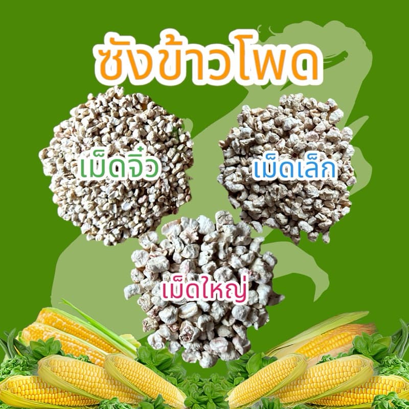 ซังข้าวโพด รองกรงสําหรับสัตว์เลี้ยง ขนาด 1000 g.[สะอาด ร่อนฝุ่น]