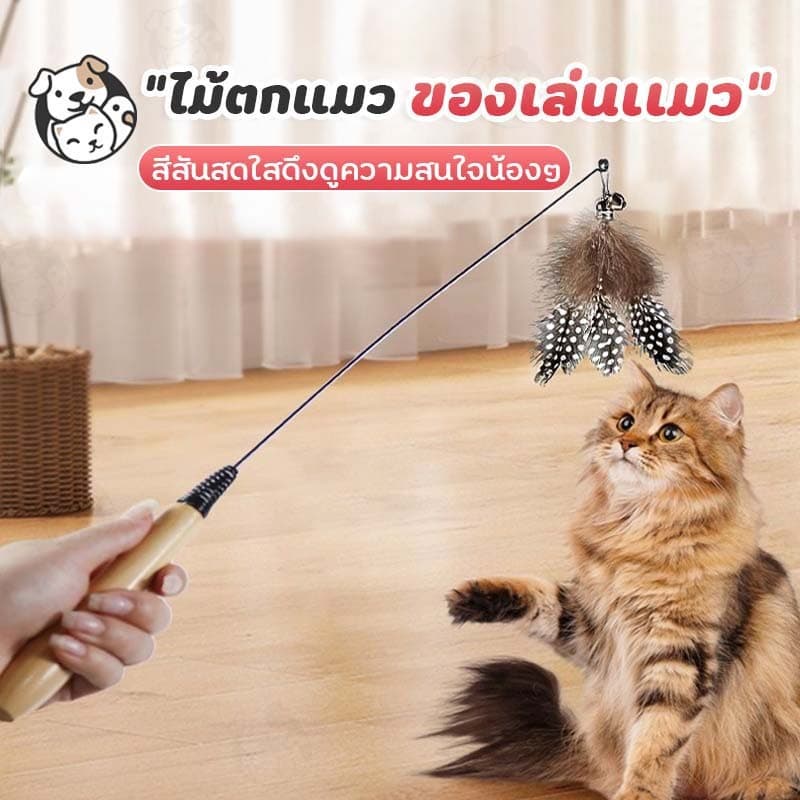 ไม้ตกแมว ไม้แมว ของเล่นเเมว มีกระดิ่งและฟู่สาย ไว้ล่อแมว คลาดเครียดคลายเหงา