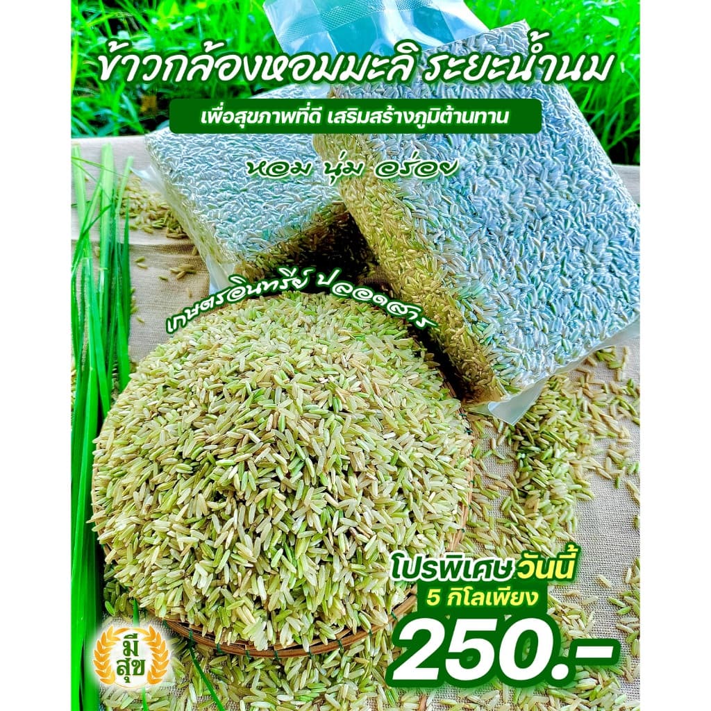 ข้าวกล้องหอมมะลิน้ํานม 5 กิโล ตรามีสุข (หอม อ่อนนุ่ม เป็นพิเศษ) ซีลสูญญากาศถุงละ 1 กิโล 5 ถุง รูปที่ 1
