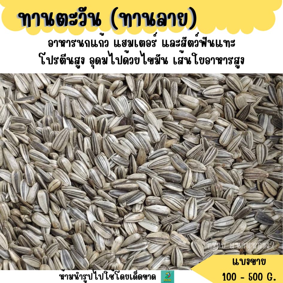 เม็ดเล็ก..เมล็ดทานตะวันลาย (แบ่งขาย 500 g. - 1 kg.) อาหารนกแก้ว อาหารแฮมเตอร์