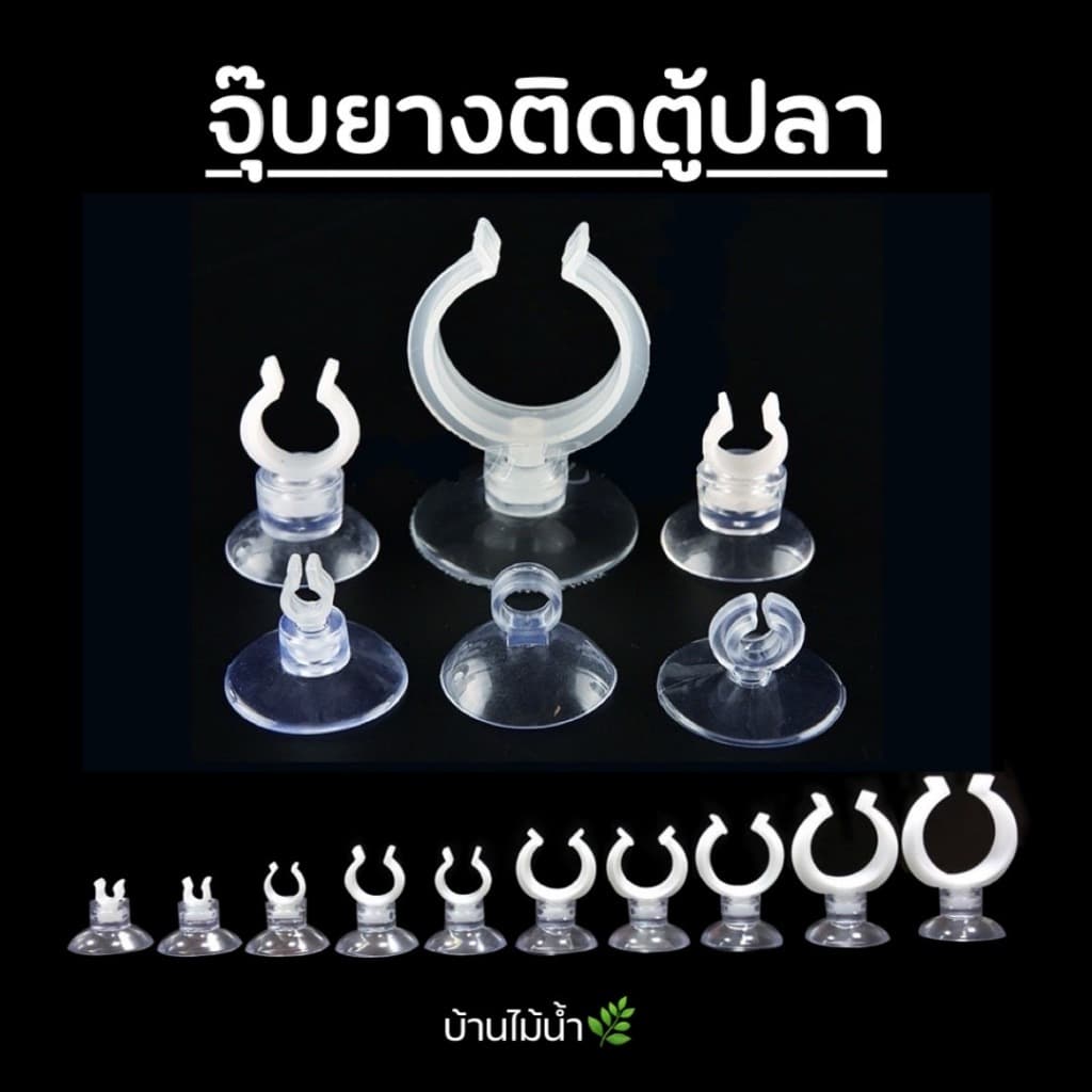จุ๊บยาง ติดกระจก ตู้ปลา 10 ขนาด | บ้านไม้น้ํา🌿