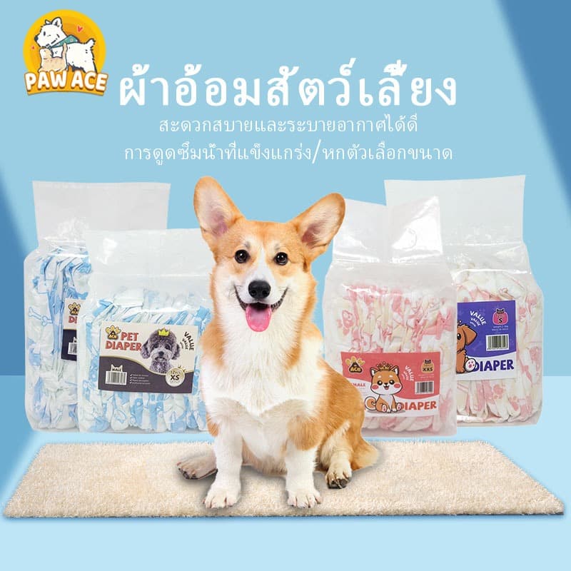 ผ้าอ้อมสุนัขสัตว์เลี้ยง ผ้าอ้อมสําเร็จรูป ลูกสุนัขผู้ชาย ลูกแมว ผ้าอ้อม XS S M L XL