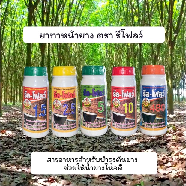 รีลโฟลว์ ยาทาหน้ายาง ฮอร์โมน บํารุงน้ํายาง