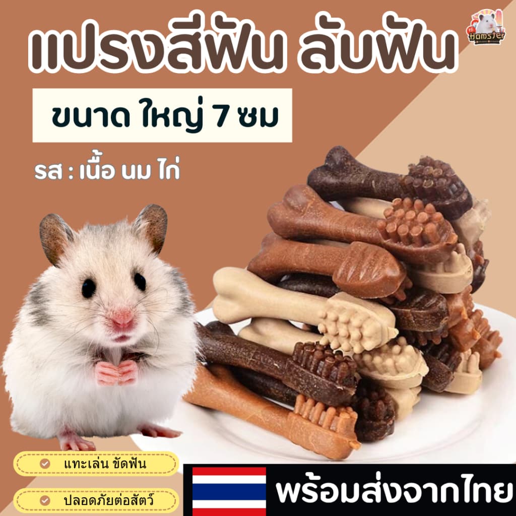 แปรงสีฟัน ที่ลับฟัน สําหรับสัตว์เลี้ยง แฮมเตอร์เม่นแคระ