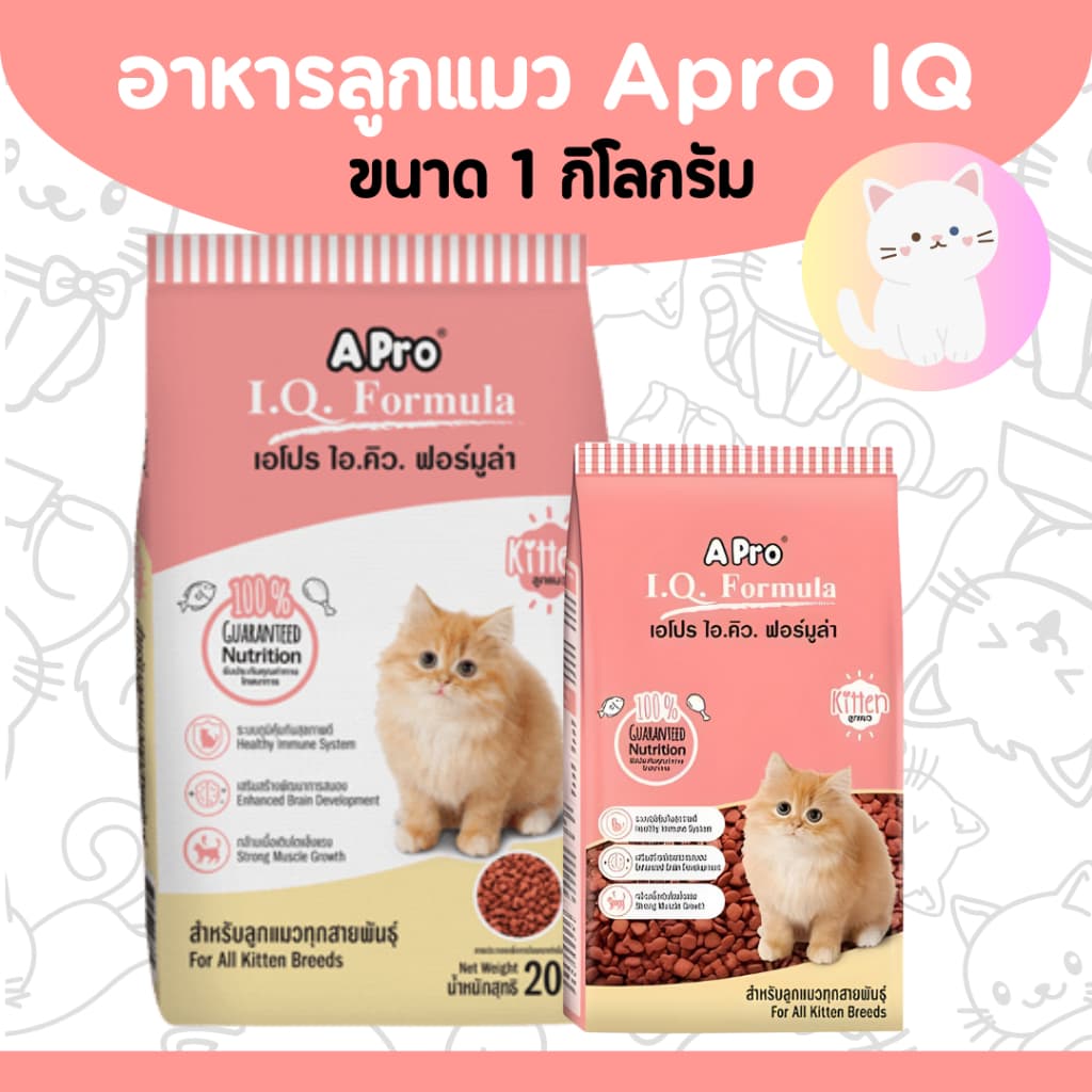 อาหารลูกแมว ราคาถูก Kitten เอโปร ขนาด 1กก