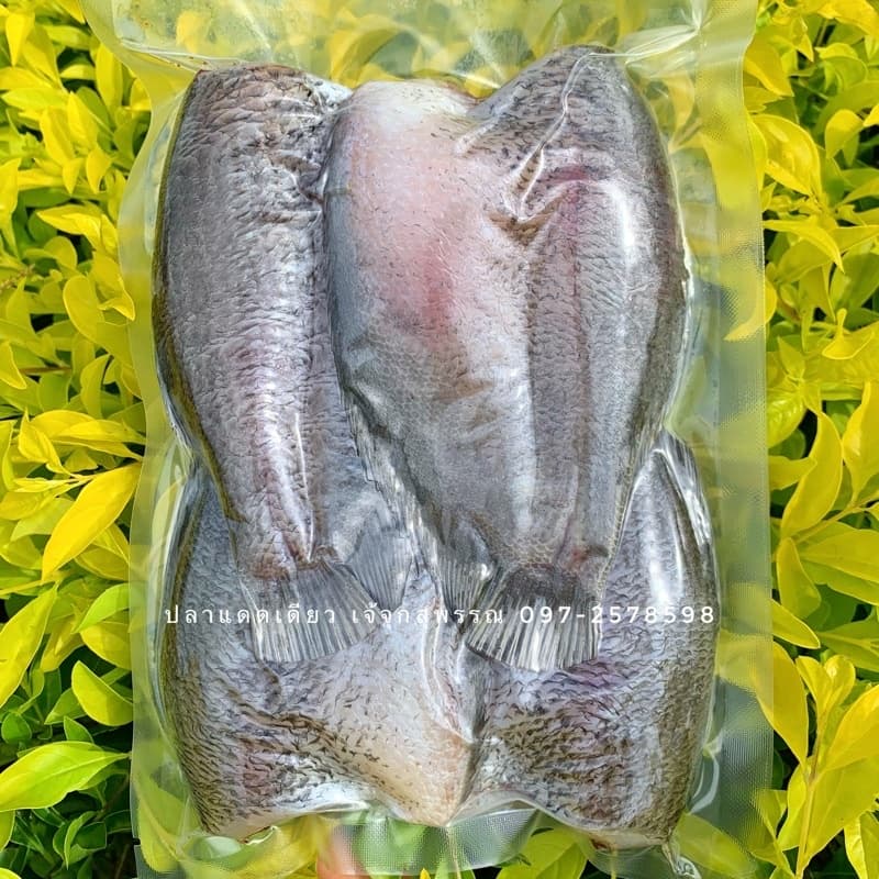 ปลาสลิด 5-6 ตัว 500 กรัม📌 สูตรเค็มน้อยตากใหม่ทุกวันจ้า