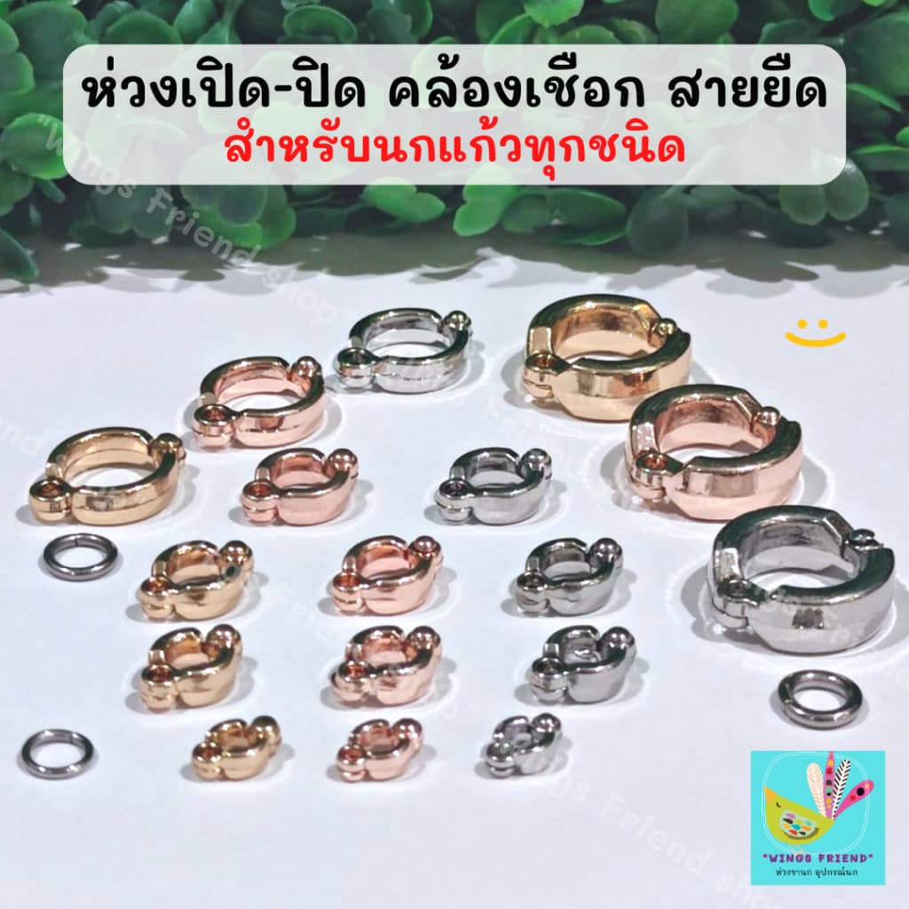 ห่วงเปิด พร้อมห่วงล็อค สําหรับนกแก้วทุกชนิด คล้องสายจูง สายยืด เชือก พร้อมส่ง