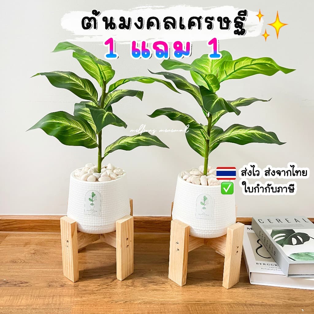 ( ส่งด่วน) 1แถม1 ต้นไม้ปลอม ความสูง 40-50 cm. แต่งบ้านพร้อมกระถางใครไม่มีเวลาดูแล ต้องโดนตกนะจ๊ะ ฟรีหินโรย!!