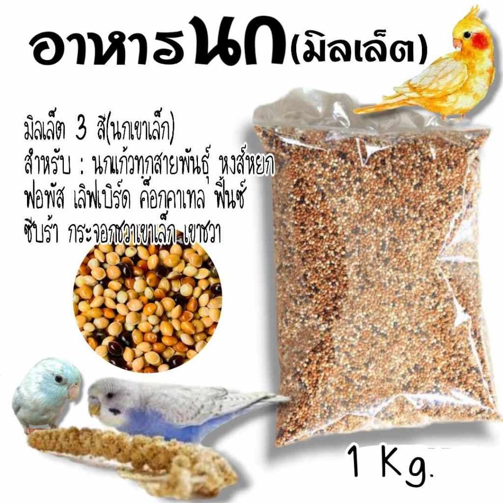 อาหารนกเขาเล็ก มิลเล็ตรวม 3 สี บรรจุถุงละ 1 kg รูปที่ 1