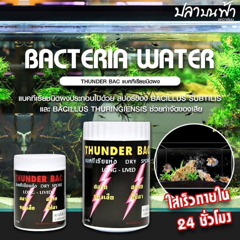 Thunder bac แบคทีเรียชนิดผง สําหรับใส่ตู้ปลา ตู้ไม้น้ํา เพื่อให้น้ําใสปลาแข็งแรง ลดแอมโมเนียย่อยสลายขี้ปลา