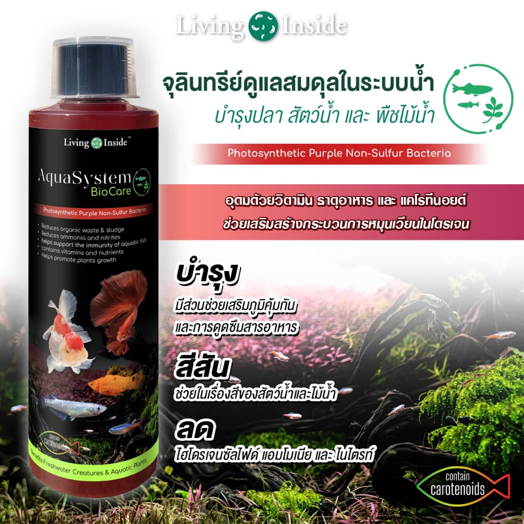 จุลินทรีย์ดูแลสมดุลในระบบน้ํา อ่างปลา ตู้ไม้น้ํา บํารุงปลา บํารุงต้นไม้น้ํา สังเคราะห์แสง PSB สารสกัดจากยีส |…
