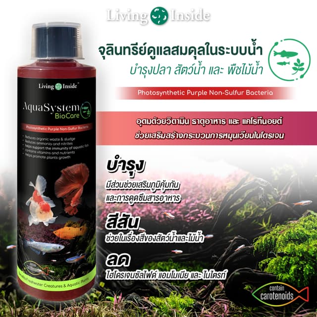 จุลินทรีย์ดูแลสมดุลในระบบน้ํา อ่างปลา ตู้ไม้น้ํา บํารุงปลา บํารุงต้นไม้น้ํา สังเคราะห์แสง PSB สารสกัดจากยีส |…