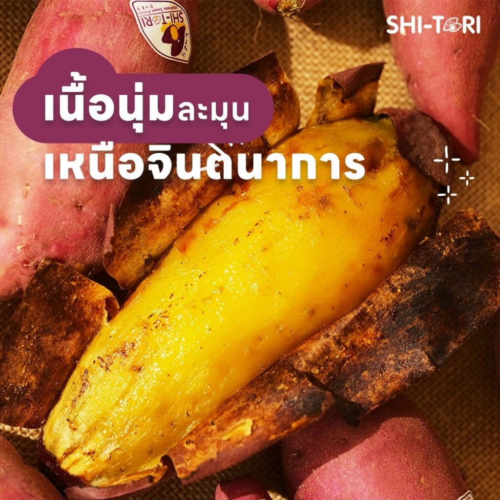 Shi-Tori | มันหวานญี่ปุ่น เบนิฮารุกะ Packsize 1kg. / 2kg. /3kg. กลิ่นหอม รสชาติหวาน เนื้อฉ่ํา